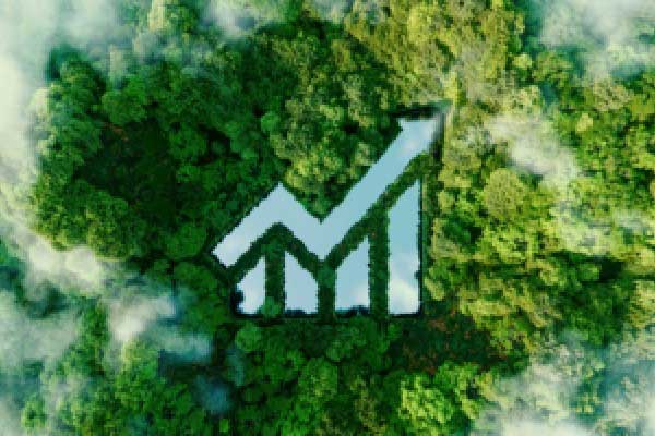 详讯 | 王毅同伊朗外长阿拉格齐会谈